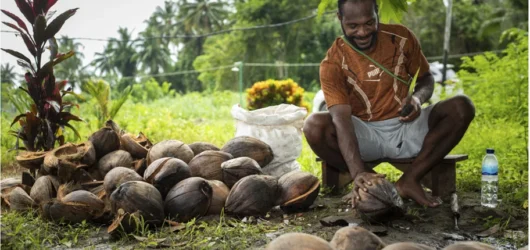 Integrating Livelihood with Markets and Complex Value Chains (6)