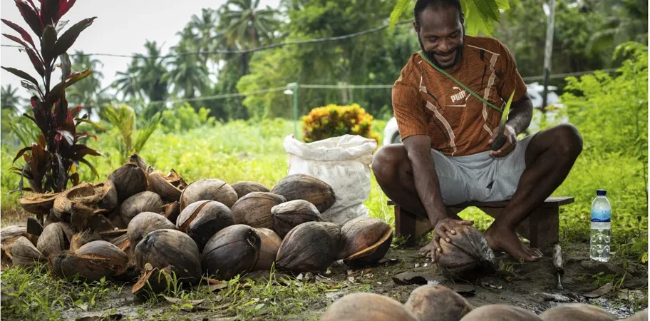 Integrating Livelihood with Markets and Complex Value Chains (6)