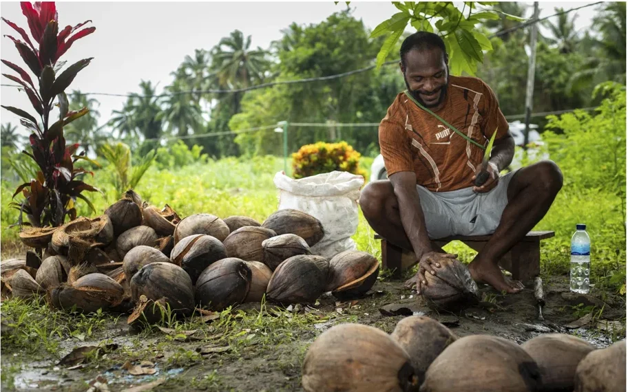 Integrating Livelihood with Markets and Complex Value Chains (6)