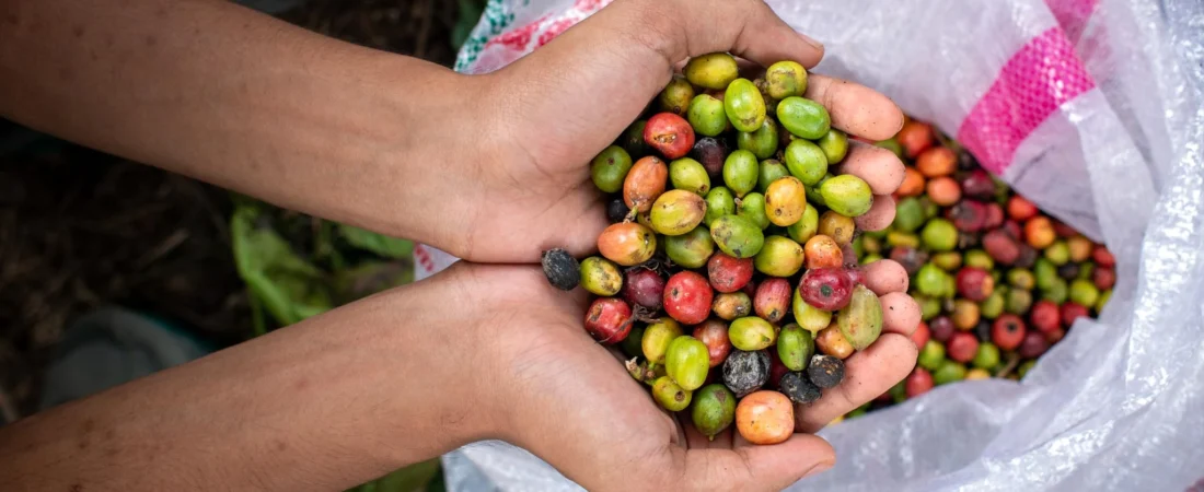 Integrating Livelihood with Markets and Complex Value Chains (7)