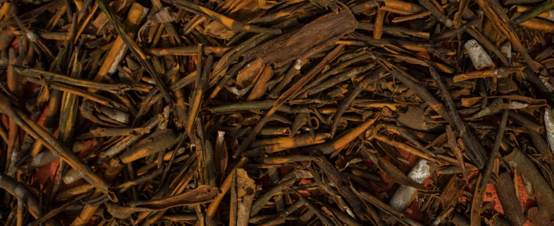 Integrating Livelihood with Markets and Complex Value Chains (8)