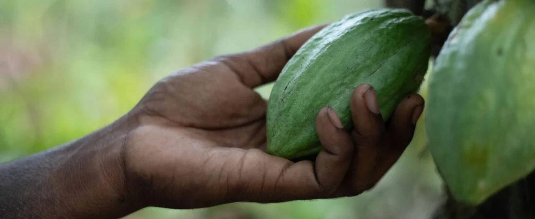 Integrating Livelihood with Markets and Complex Value Chains (4)