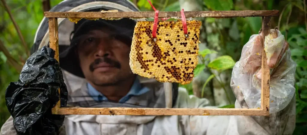 Building a diversity of livelihood