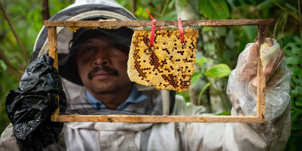 Building a diversity of livelihood