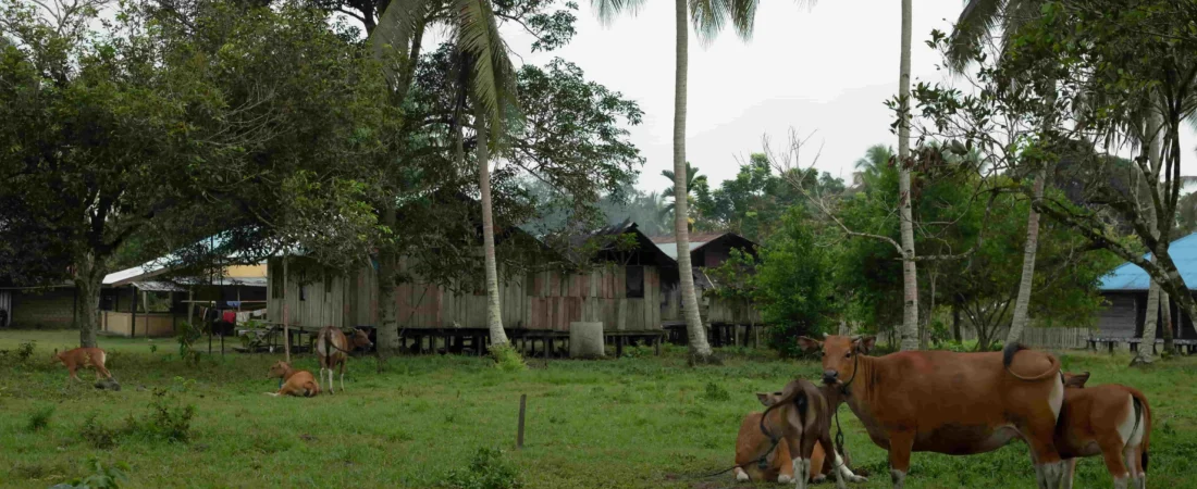 Integrating Livelihood with Markets and Complex Value Chains (2)